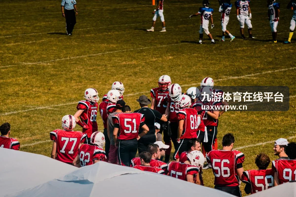 九游体育在线平台体育数据服务案例